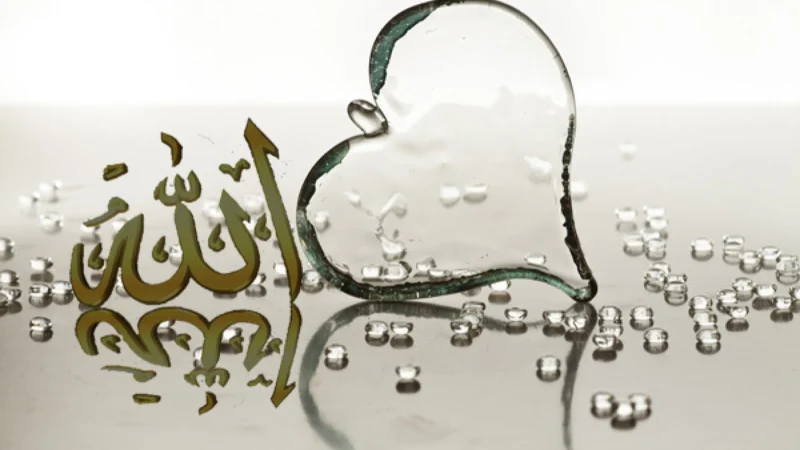 Those Who Love Allah vs. Those Who Allah Loves