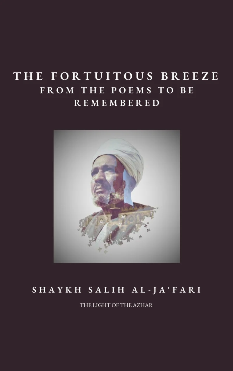 THE FORTUITOUS BREEZE